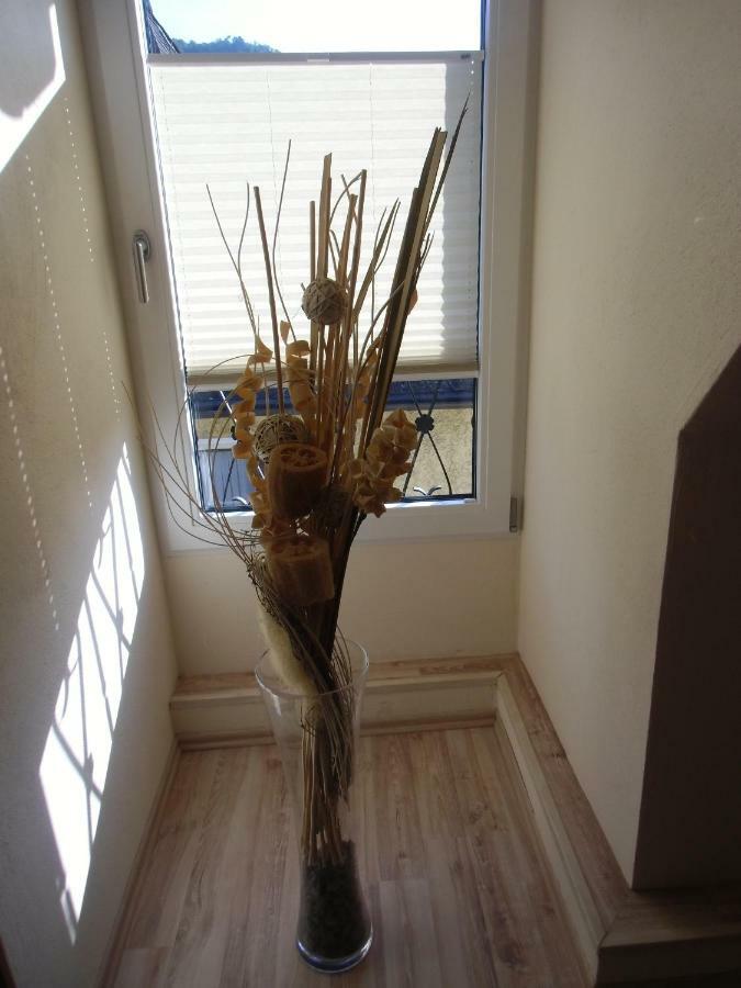 Mosel Ferienwohnung Ürzig Extérieur photo